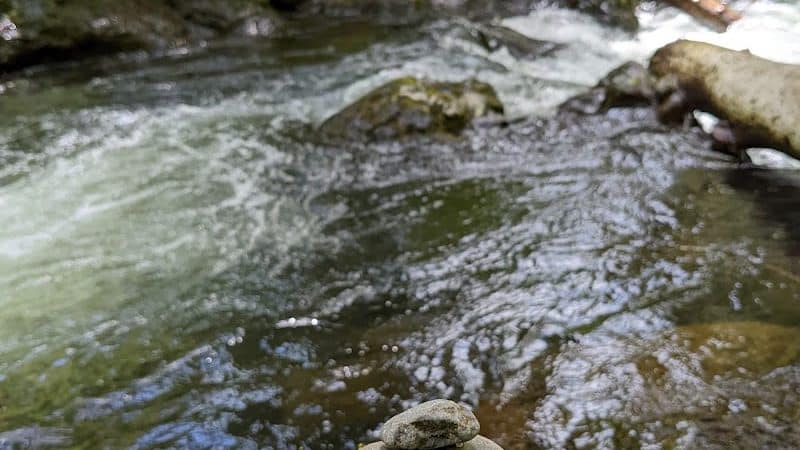 Porter Creek Campground - Elma, WA