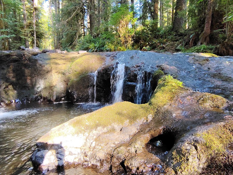 Porter Creek Campground - Elma, WA