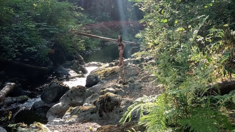 Porter Creek Campground - Elma, WA