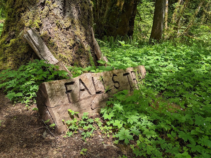Porter Creek Campground - Elma, WA