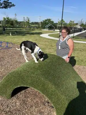 Canine Corner