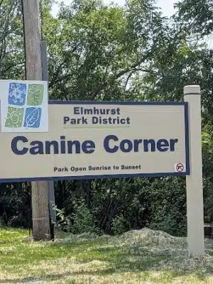 Canine Corner