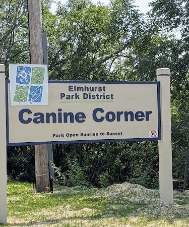 Canine Corner