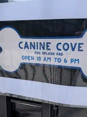 Canine Corner