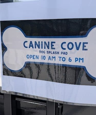Canine Corner