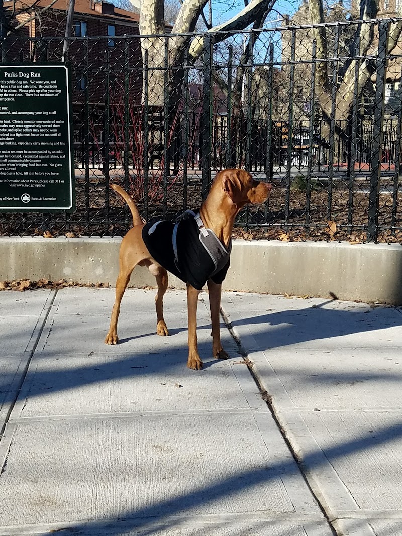 Veterans Grove - Elmhurst, NY