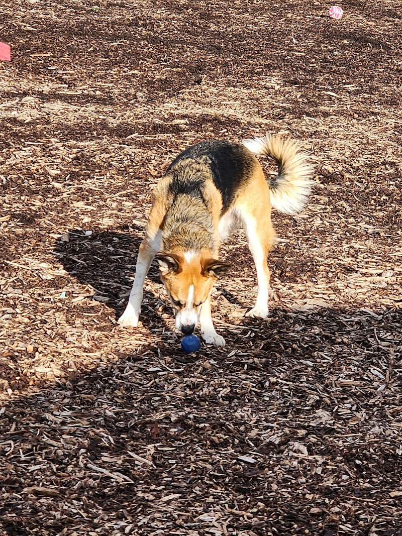 The Enfield Dog Park - Enfield, CT