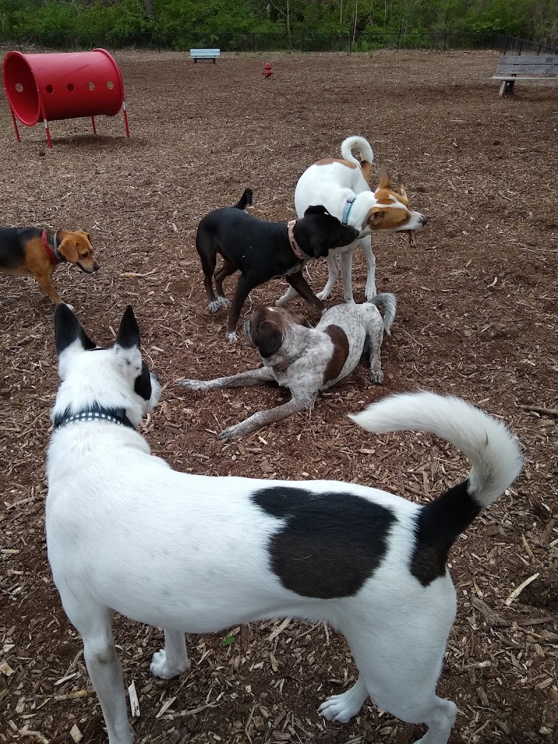 The Enfield Dog Park - Enfield, CT