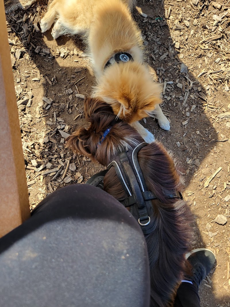 The Enfield Dog Park - Enfield, CT