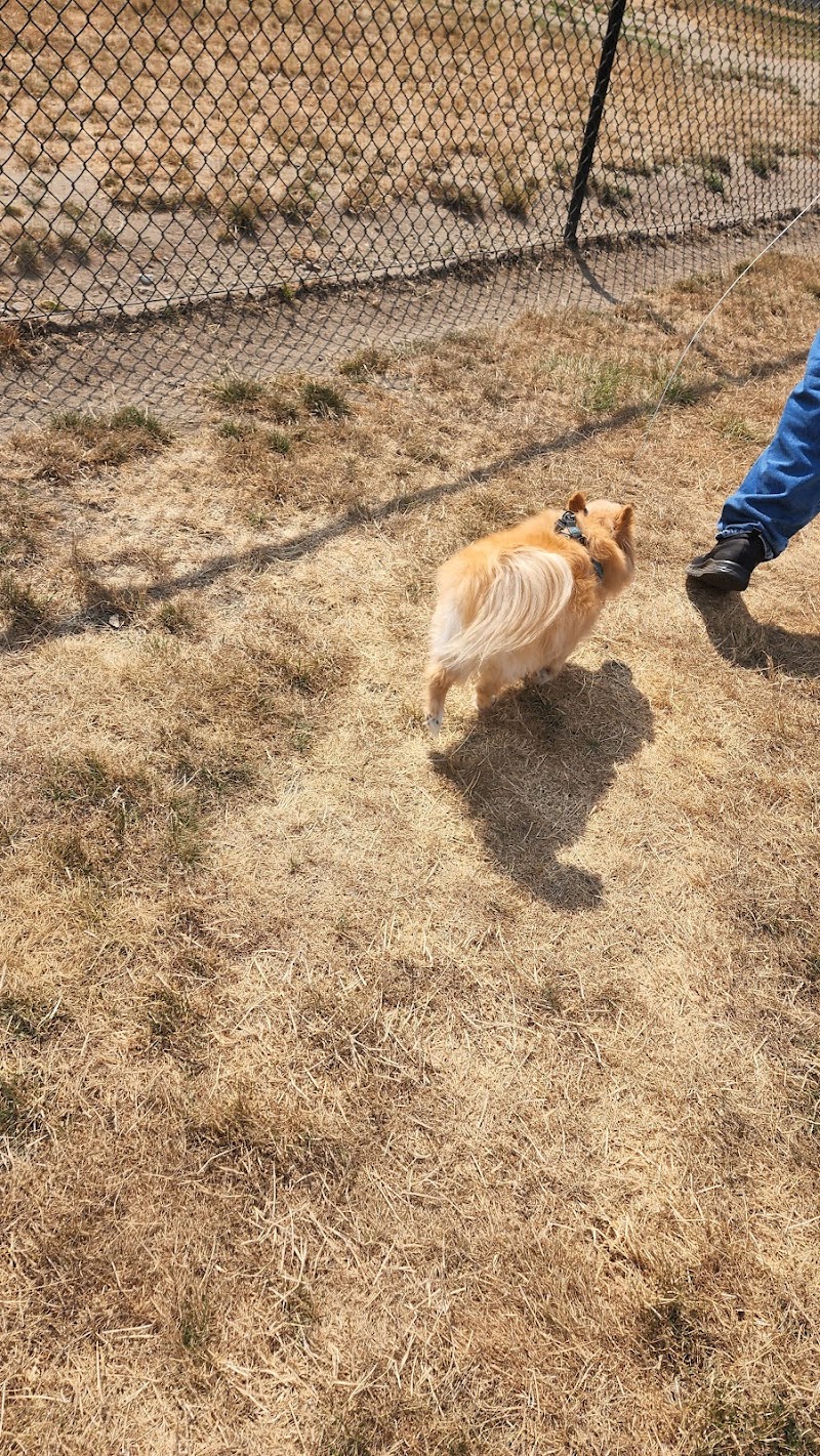 Enumclaw Dog Park - Enumclaw, WA