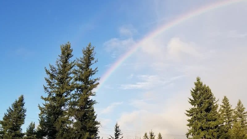 Enumclaw Dog Park - Enumclaw, WA
