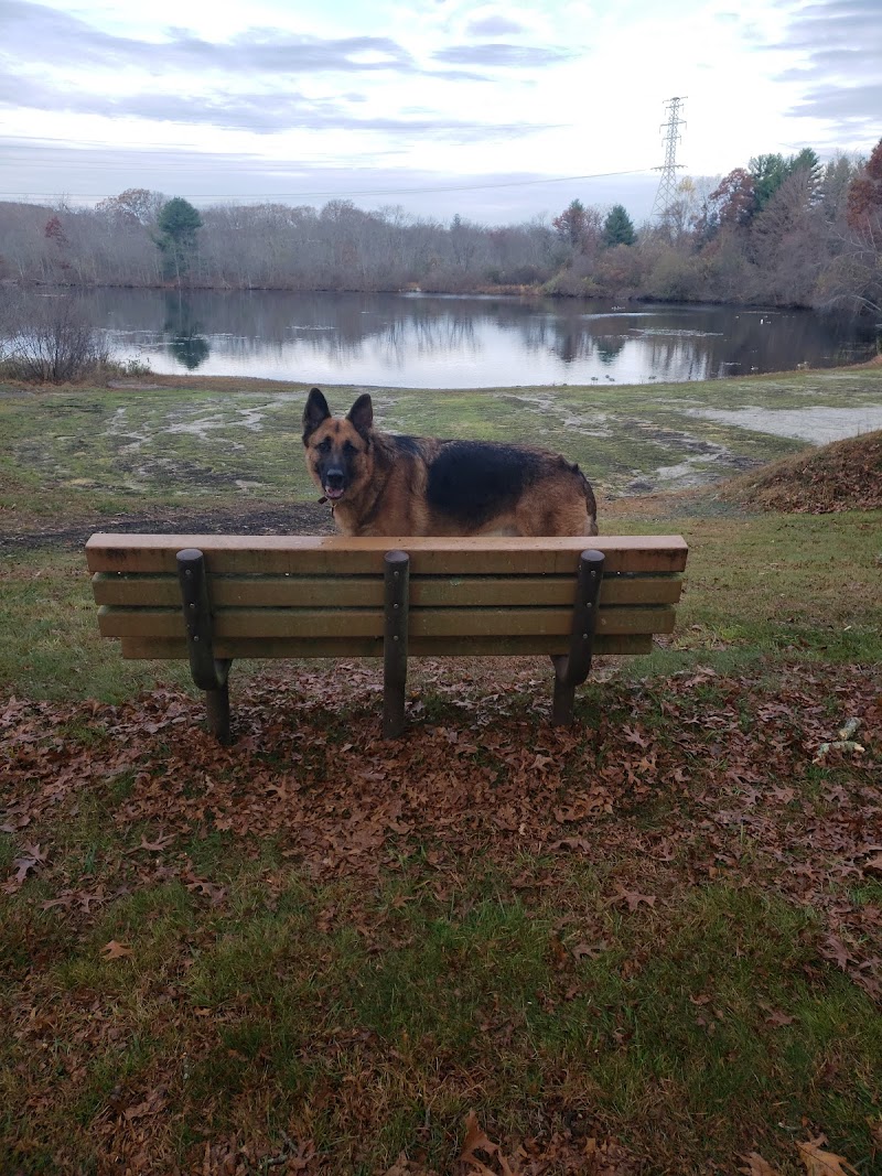 Paw Dog Park - Essex, CT