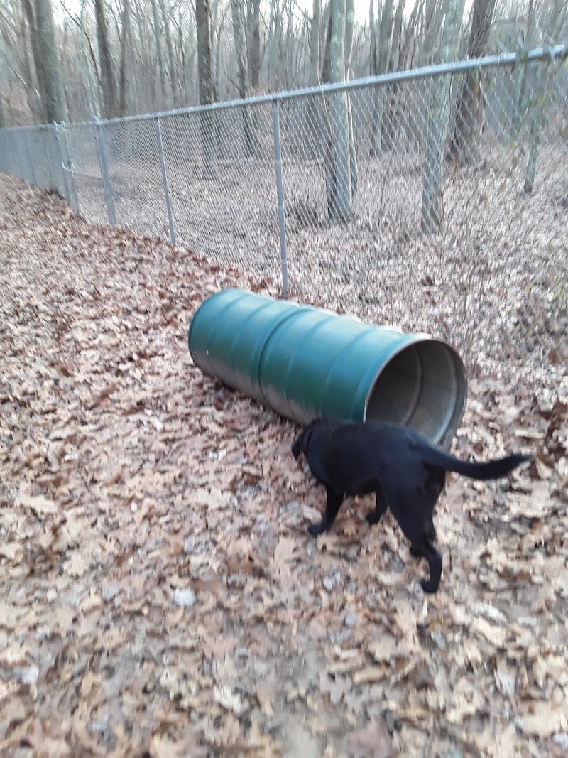 Paw Dog Park - Essex, CT
