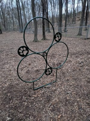 Paw Dog Park - Essex, CT