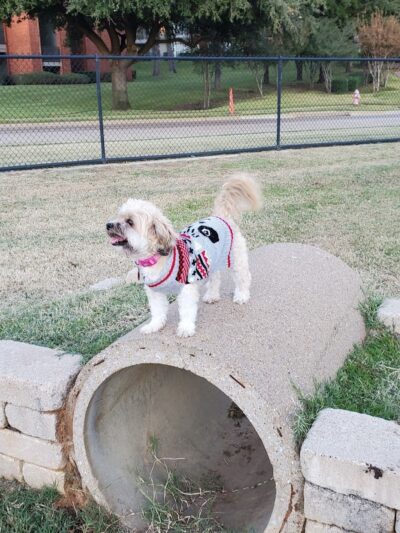 Euless Dog Park - Euless, TX