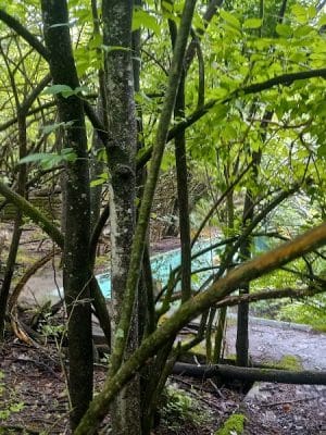Beck Park