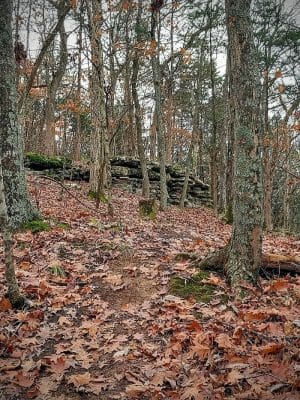 Beck Park