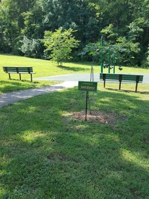Bowlby Park
