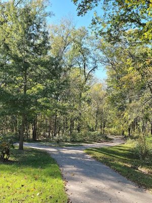 Drewel Park