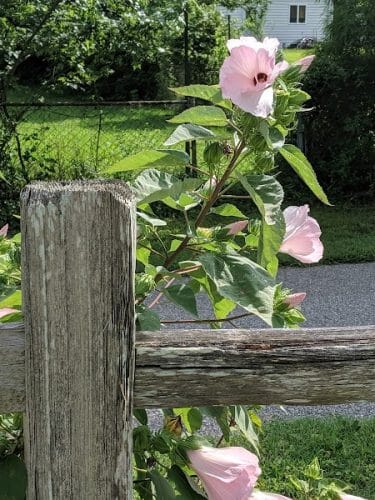 Drewel Park