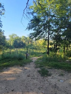Eureka Mountain Bike Park