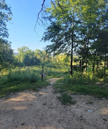 Eureka Mountain Bike Park