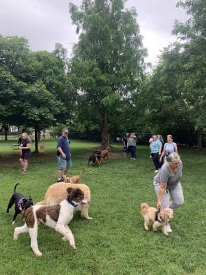 Earthborn Holistic Dog Park