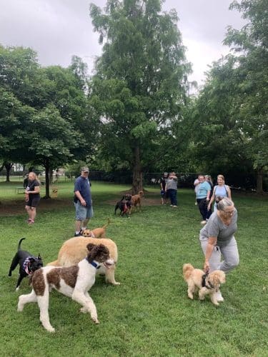 Earthborn Holistic Dog Park