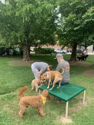 Earthborn Holistic Dog Park