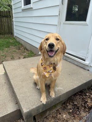 Earthborn Holistic Dog Park