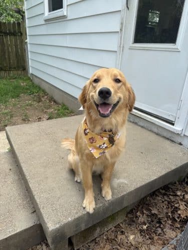 Earthborn Holistic Dog Park