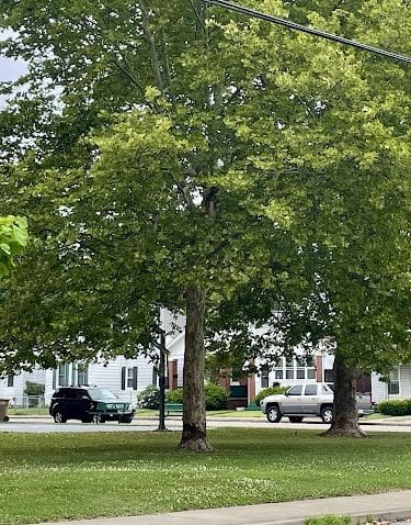 Eleventh Avenue Park