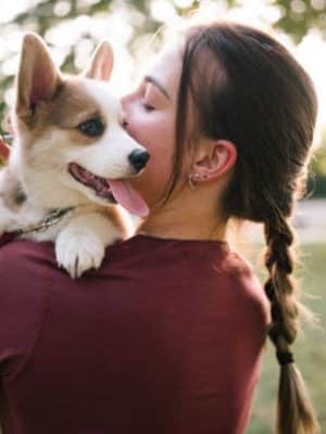 Home of puppies