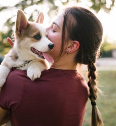 Home of puppies