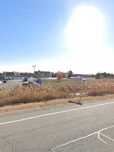 Dog park