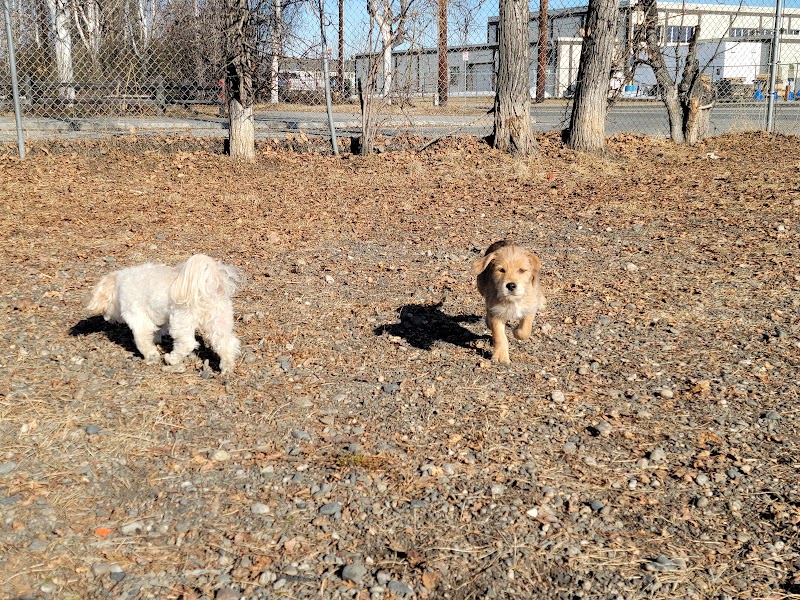 Fairbanks Dog Park 2nd Ave - Fairbanks, AK