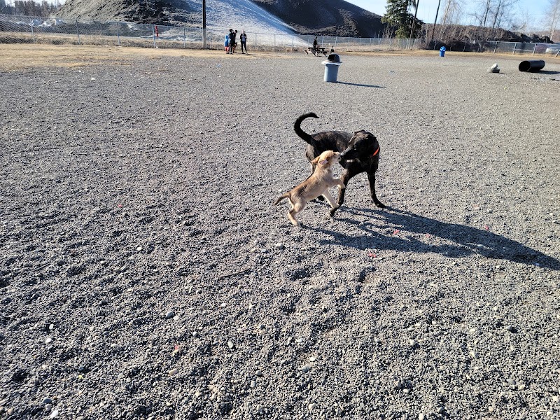 Fairbanks Dog Park 2nd Ave - Fairbanks, AK