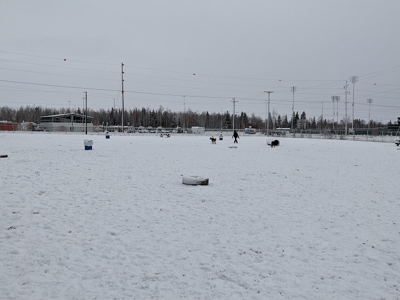 Fairbanks Dog Park 2nd Ave - Fairbanks, AK