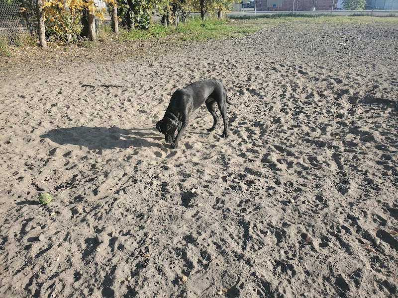 Fairbanks Dog Park 2nd Ave - Fairbanks, AK