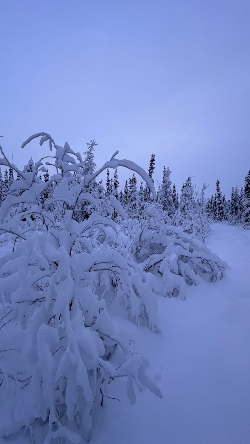Fairbanks Dog Park Davis Rd - Fairbanks, AK