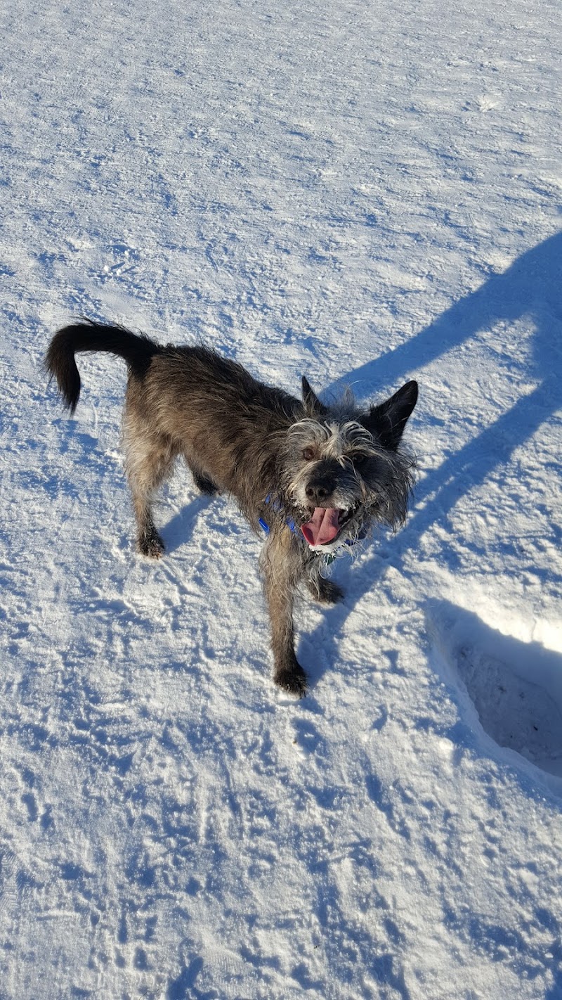 Fairbanks Dog Park Davis Rd - Fairbanks, AK