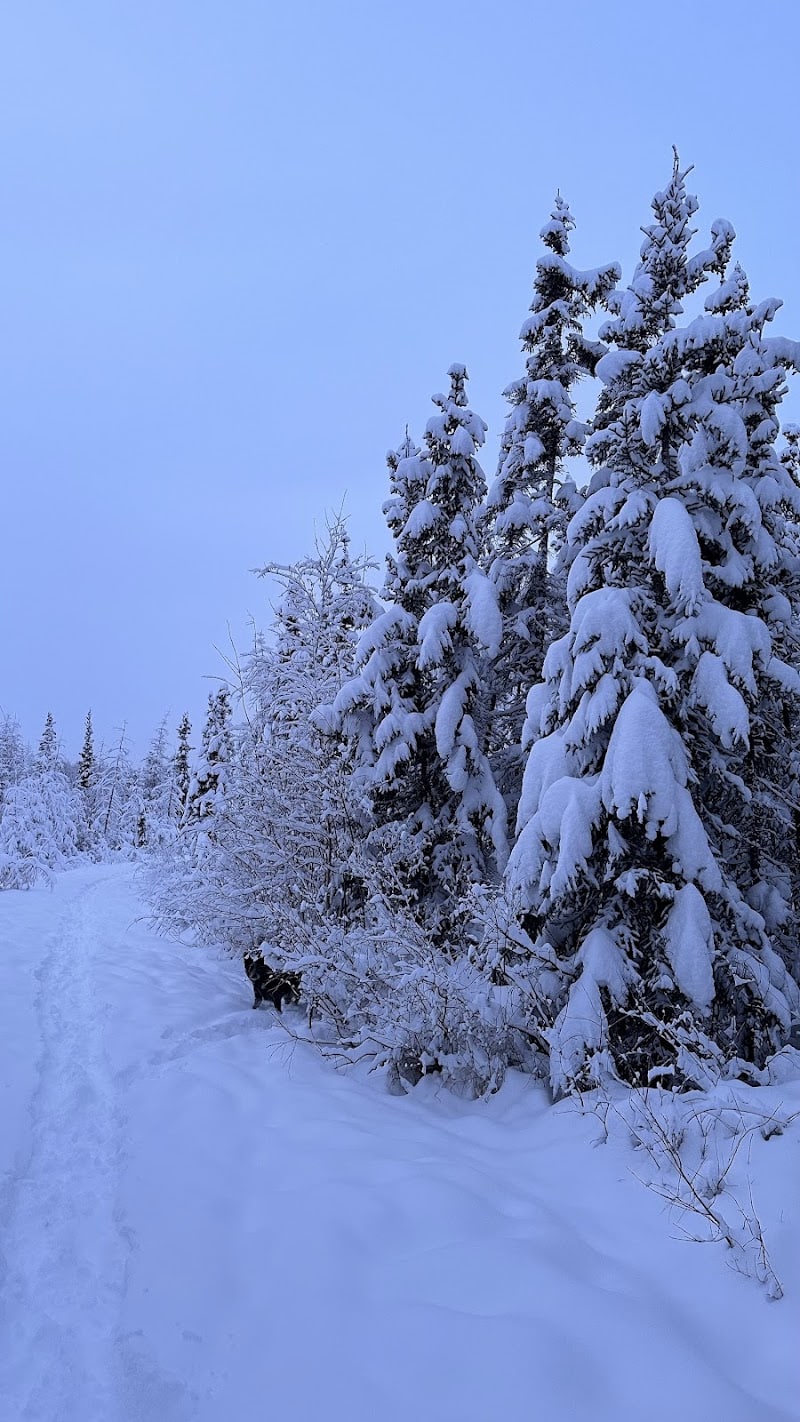 Fairbanks Dog Park Davis Rd - Fairbanks, AK