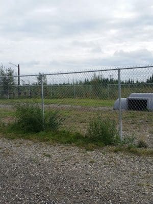Fairbanks Dog Park Davis Rd