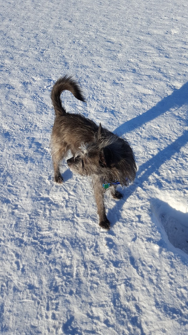 Fairbanks Dog Park Davis Rd - Fairbanks, AK