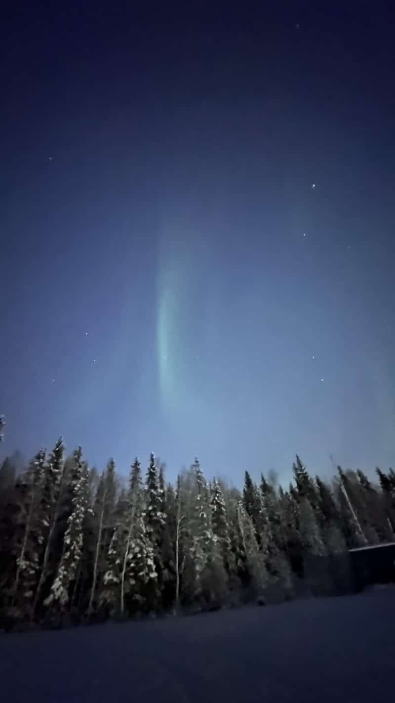 Fairbanks Dog Park Davis Rd - Fairbanks, AK
