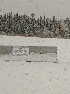 Fairbanks Dog Park Davis Rd