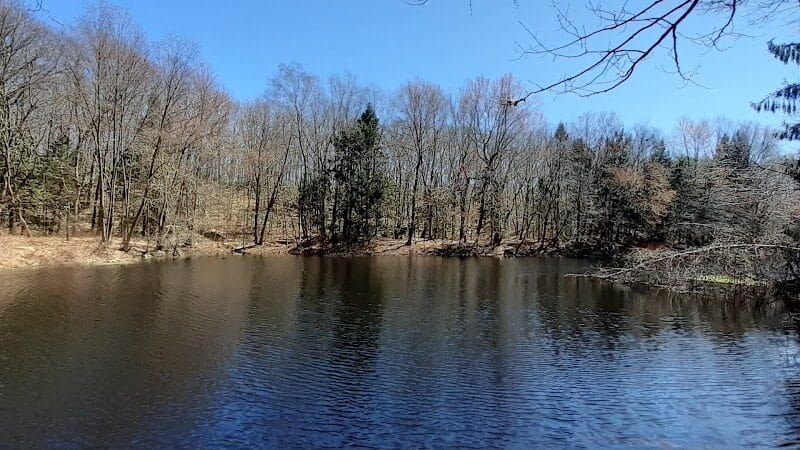 Brett Woods Open Space - Fairfield, CT
