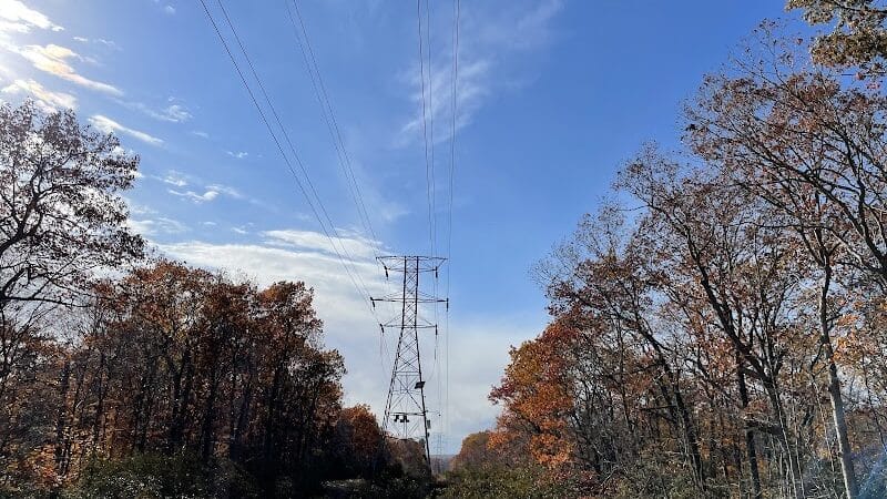 Brett Woods Open Space - Fairfield, CT