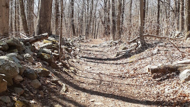 Brett Woods Open Space - Fairfield, CT