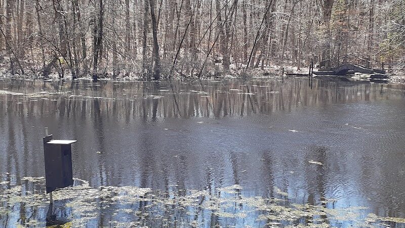 Connecticut Audubon Society - Fairfield, CT